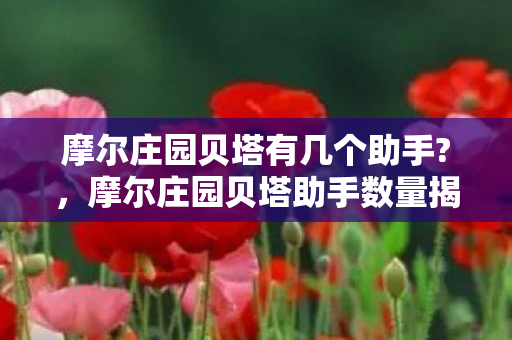 摩尔庄园贝塔助手数量揭秘图片