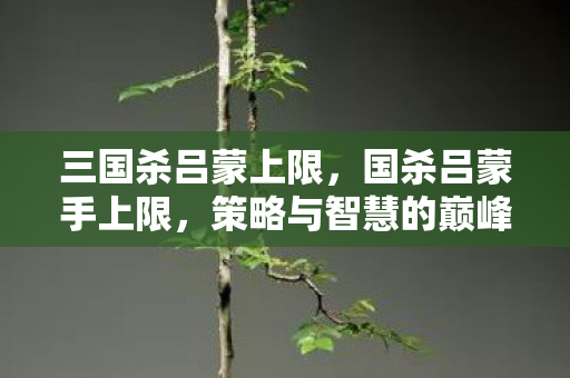 策略与智慧的巅峰对决图片