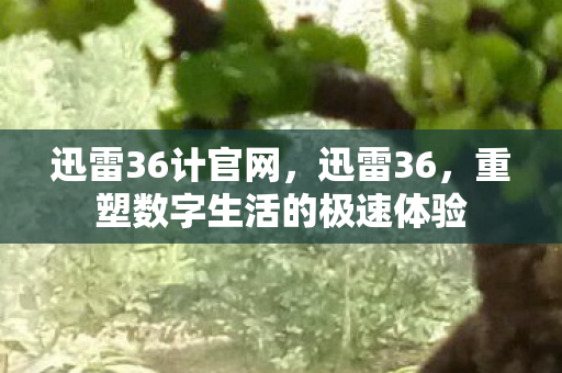 重塑数字生活的极速体验图片