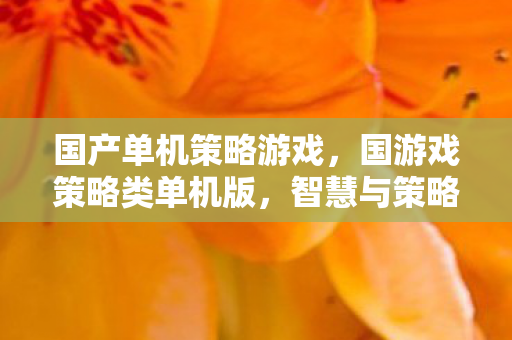 国产单机策略游戏，国游戏策略类单机版，智慧与策略的碰撞