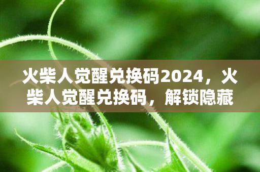 火柴人觉醒兑换码2024，火柴人觉醒兑换码，解锁隐藏福利的秘籍