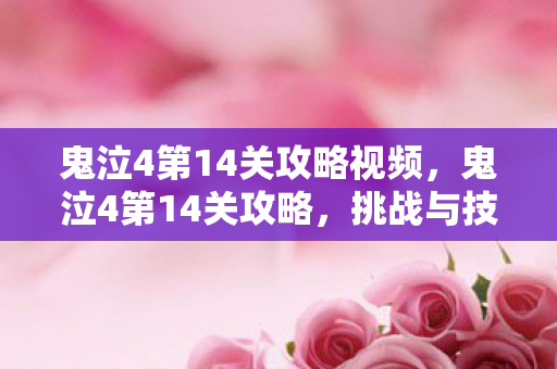 鬼泣4第14关攻略视频，鬼泣4第14关攻略，挑战与技巧的全面解析