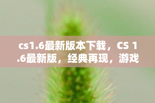 cs1.6最新版本下载，CS 1.6最新版，经典再现，游戏新体验