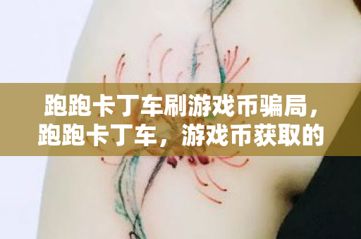 跑跑卡丁车刷游戏币骗局图片