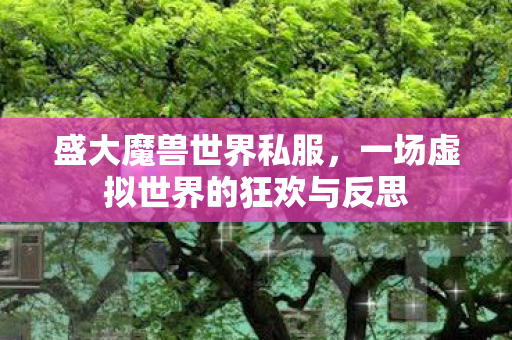 一场虚拟世界的狂欢与反思图片