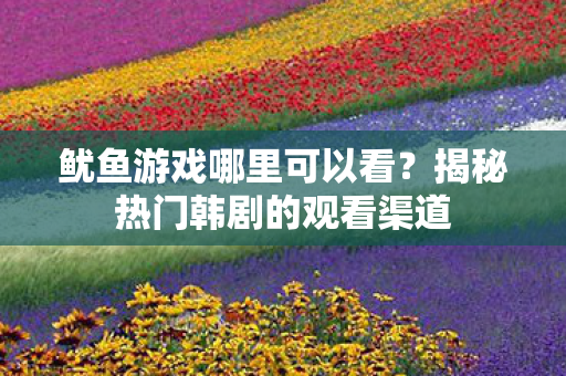 揭秘热门韩剧的观看渠道图片