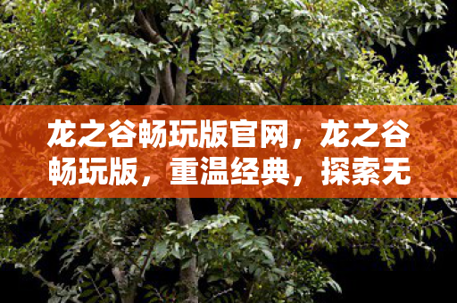 龙之谷畅玩版官网图片