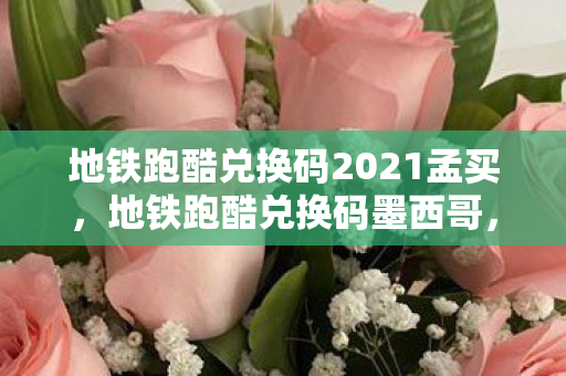 地铁跑酷兑换码2021孟买图片
