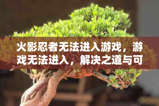 火影忍者无法进入游戏图片