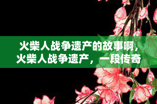 火柴人战争遗产的故事啊图片