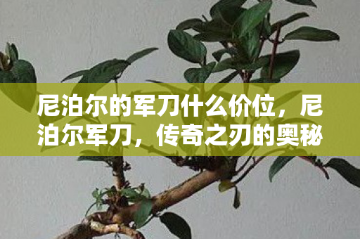 尼泊尔的军刀什么价位图片