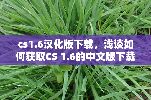 cs1.6汉化版下载，浅谈如何获取CS 1.6的中文版下载及体验优化