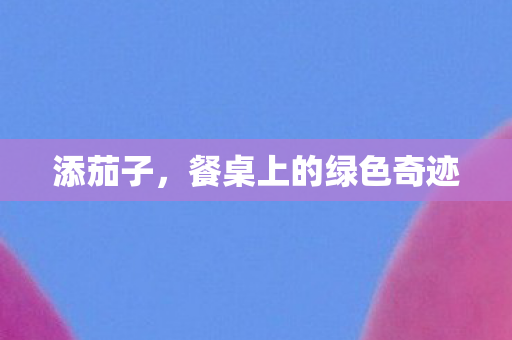 餐桌上的绿色奇迹图片