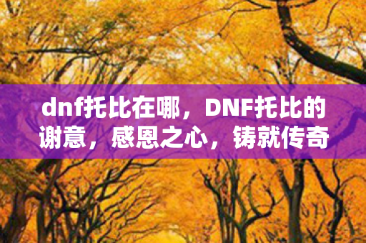 DNF托比的谢意图片