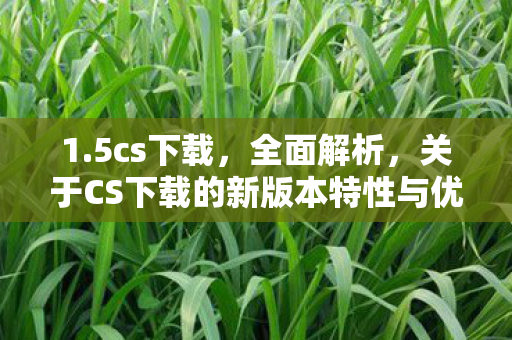 1.5cs下载，全面解析，关于CS下载的新版本特性与优势