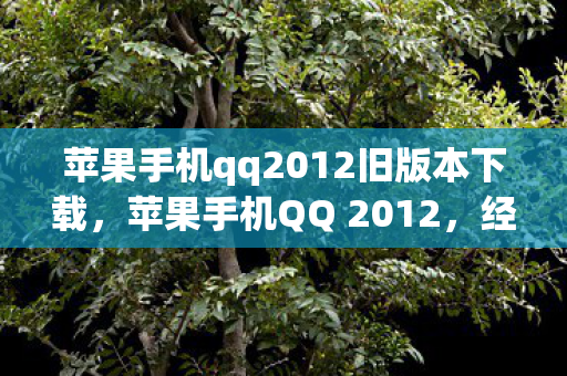 苹果手机qq2012旧版本下载图片