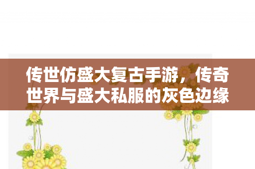 传奇世界与盛大私服的灰色边缘图片