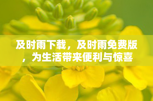 为生活带来便利与惊喜图片