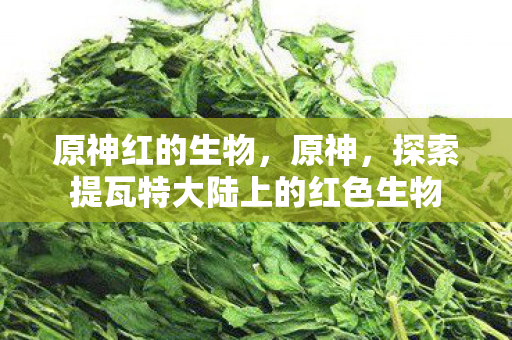 探索提瓦特大陆上的红色生物图片