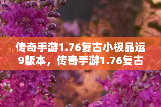 76复古小极品运9版本图片