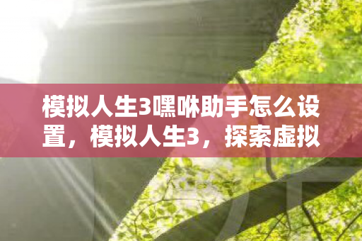 模拟人生3嘿咻助手怎么设置图片