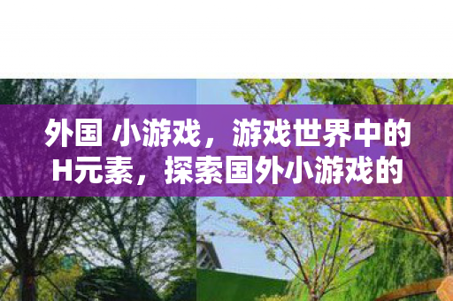 探索国外小游戏的趣味与界限图片