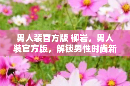 男人装官方版 柳岩图片