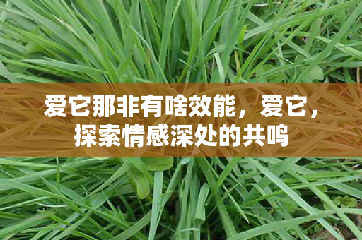 探索情感深处的共鸣图片