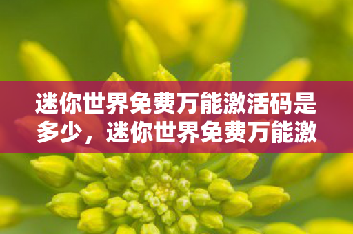 迷你世界免费万能激活码是多少图片