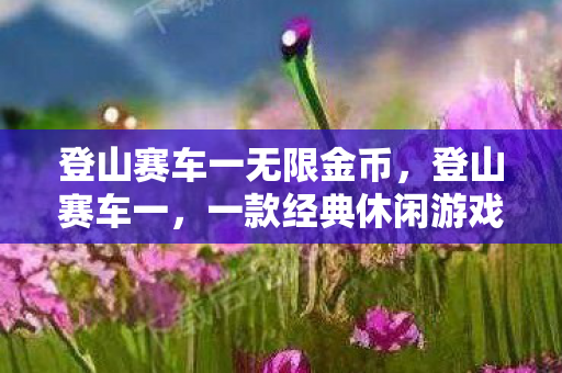 一款经典休闲游戏的魅力与回忆图片