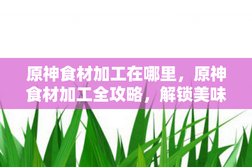 原神食材加工在哪里图片