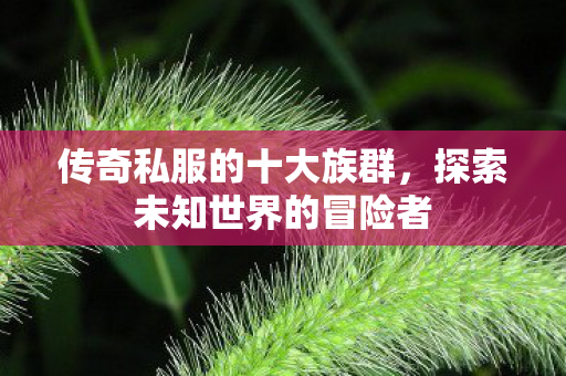 探索未知世界的冒险者图片