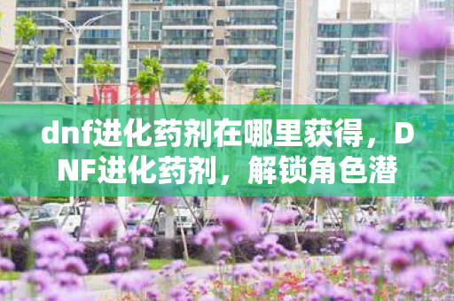 dnf进化药剂在哪里获得图片