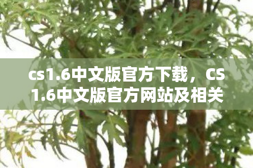 cs1.6中文版官方下载，CS1.6中文版官方网站及相关内容回顾