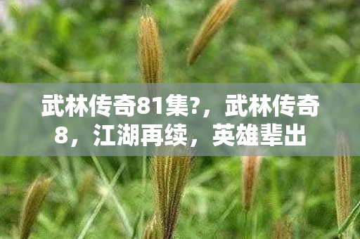 武林传奇81集图片