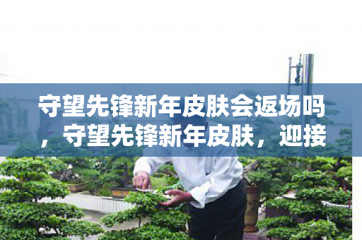 守望先锋新年皮肤会返场吗图片