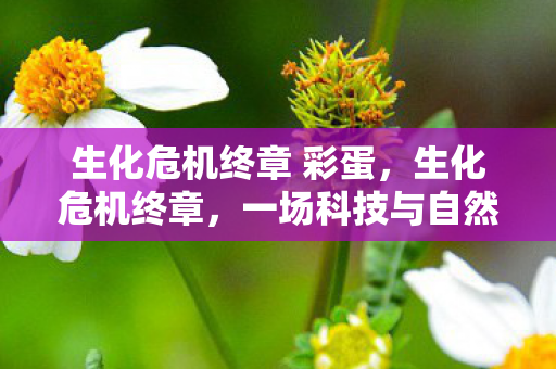 一场科技与自然的终极对决图片