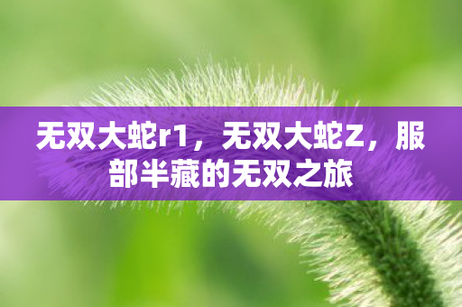 服部半藏的无双之旅图片