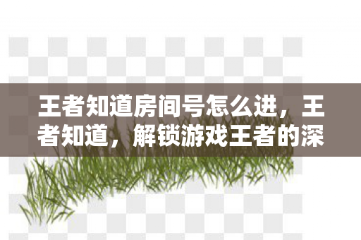 解锁游戏王者的深层奥秘图片
