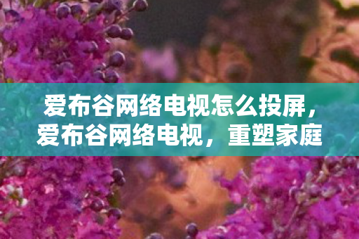 爱布谷网络电视怎么投屏图片