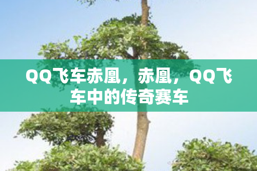 QQ飞车中的传奇赛车图片