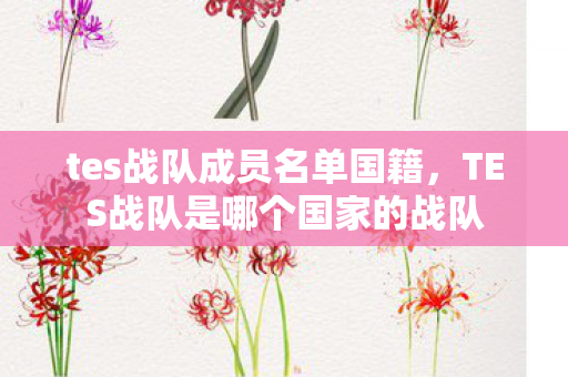 TES战队是哪个国家的战队图片