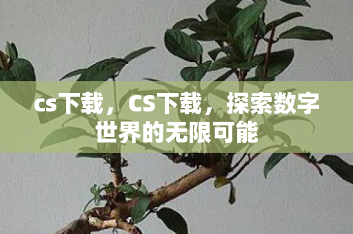 cs下载，CS下载，探索数字世界的无限可能