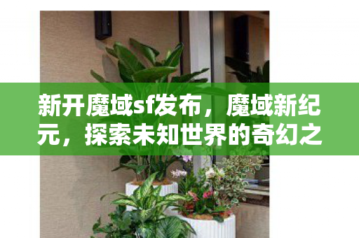 探索未知世界的奇幻之旅图片