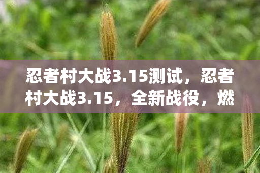 燃爆你的战斗激情图片