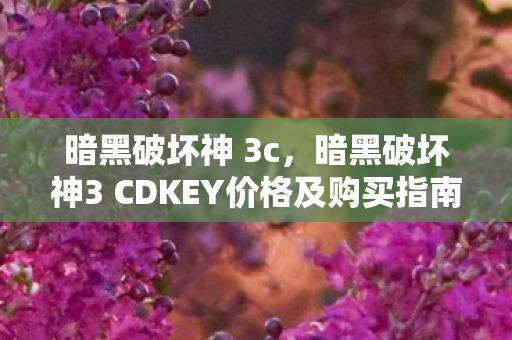 暗黑破坏神3 CDKEY价格及购买指南图片