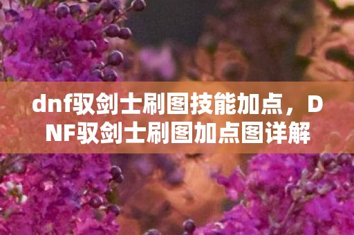 DNF驭剑士刷图加点图详解图片