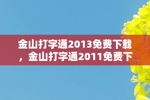 金山打字通2013免费下载图片