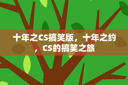 十年之CS搞笑版，十年之约，CS的搞笑之旅