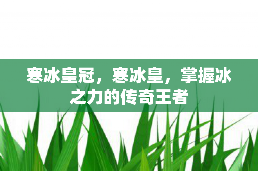 掌握冰之力的传奇王者图片